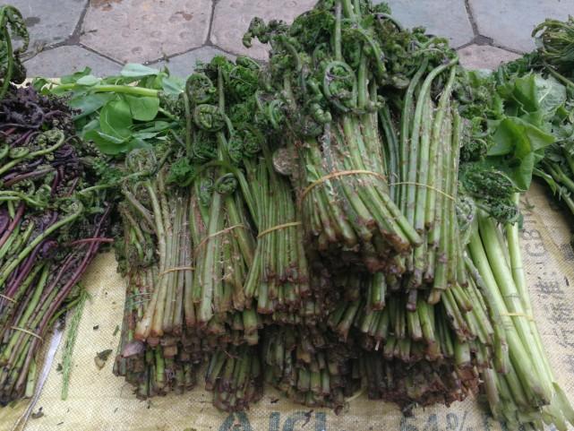 吉林胜景,人文荟萃,诗意古风述之